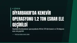 Diyarbakır’da Kenevir Operasyonu 1.2 Ton Esrar Ele Geçirildi