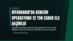 Diyarbakır’da Kenevir Operasyonu 12 Ton Esrar Ele Geçirildi