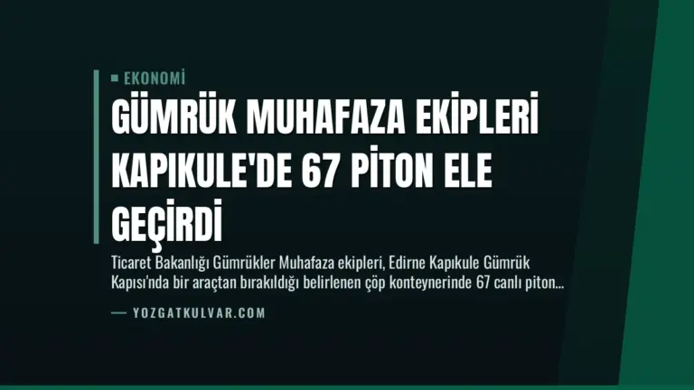 Gümrük Muhafaza Ekipleri Kapıkule’de 67 Piton Ele Geçirdi