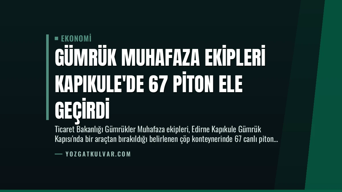 Gümrük Muhafaza Ekipleri Kapıkule’de 67 Piton Ele Geçirdi