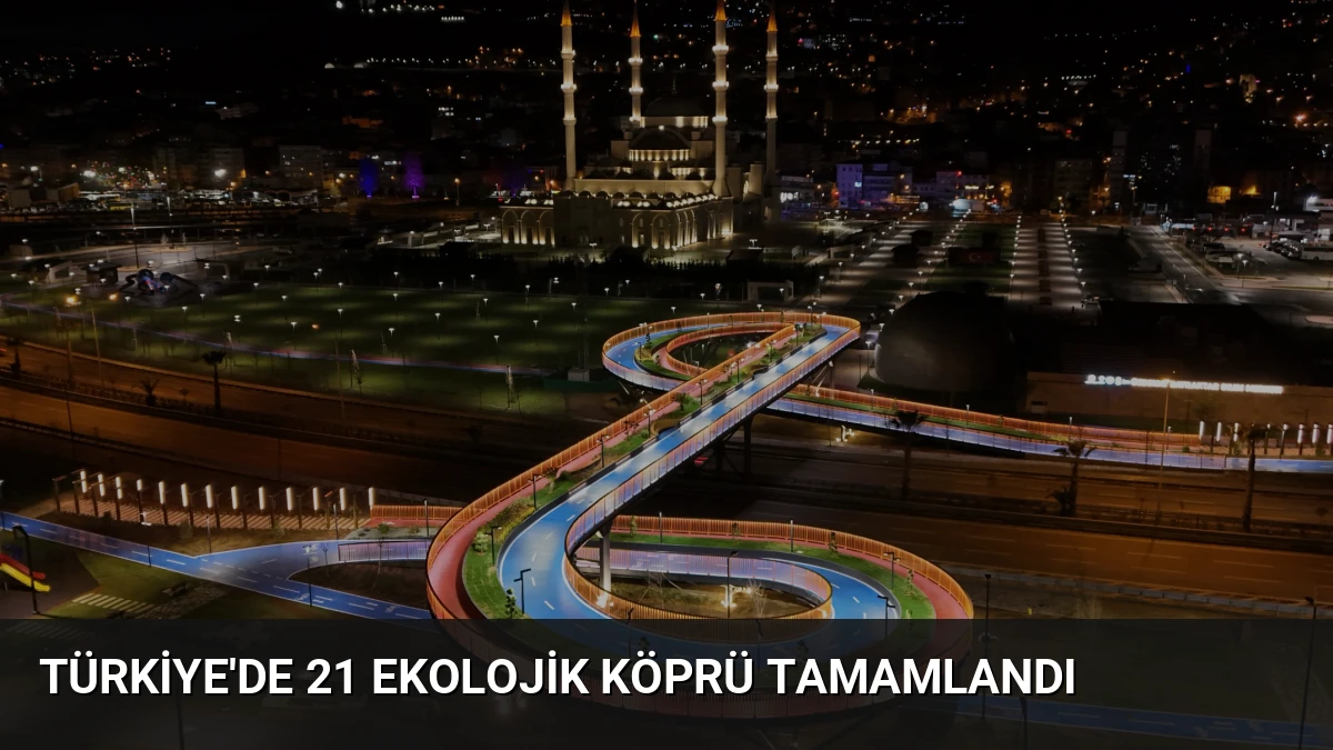 Türkiye’de 21 Ekolojik Köprü Tamamlandı