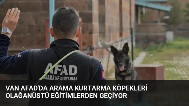 Van AFAD'da Arama Kurtarma Köpekleri Olağanüstü Eğitimlerden Geçiyor